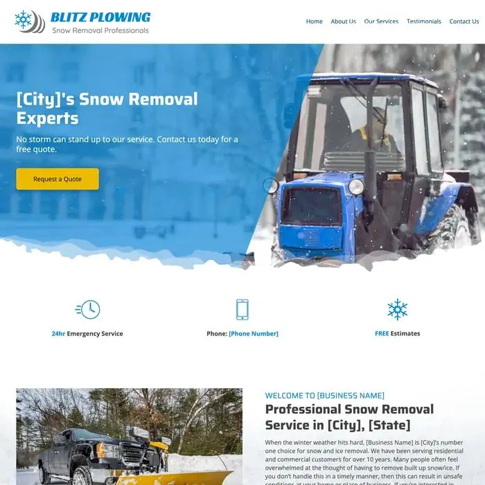 Snow removal website design example
